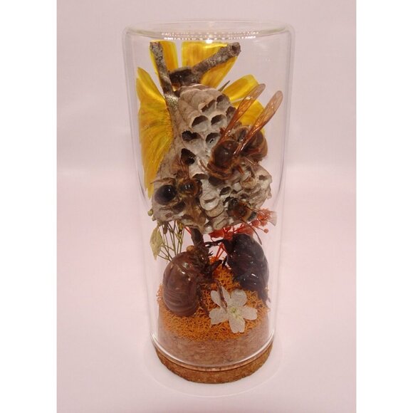 Wasp Nest Hornet Bees Rhinoceros Beetle Cicada Skin Oddity Jar flowers taxidermy - Picture 12 of 13